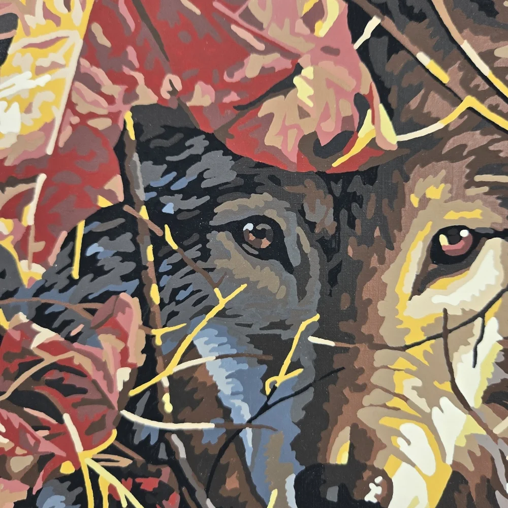 Autumn Wolf Finished Acrylic Painting Paint‎ By Number 14x11 Mystical Whimsical